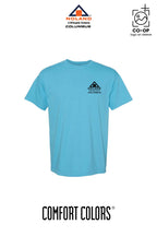 Unisex Garment-Dyed Heavyweight T-Shirt - Columbus Noland