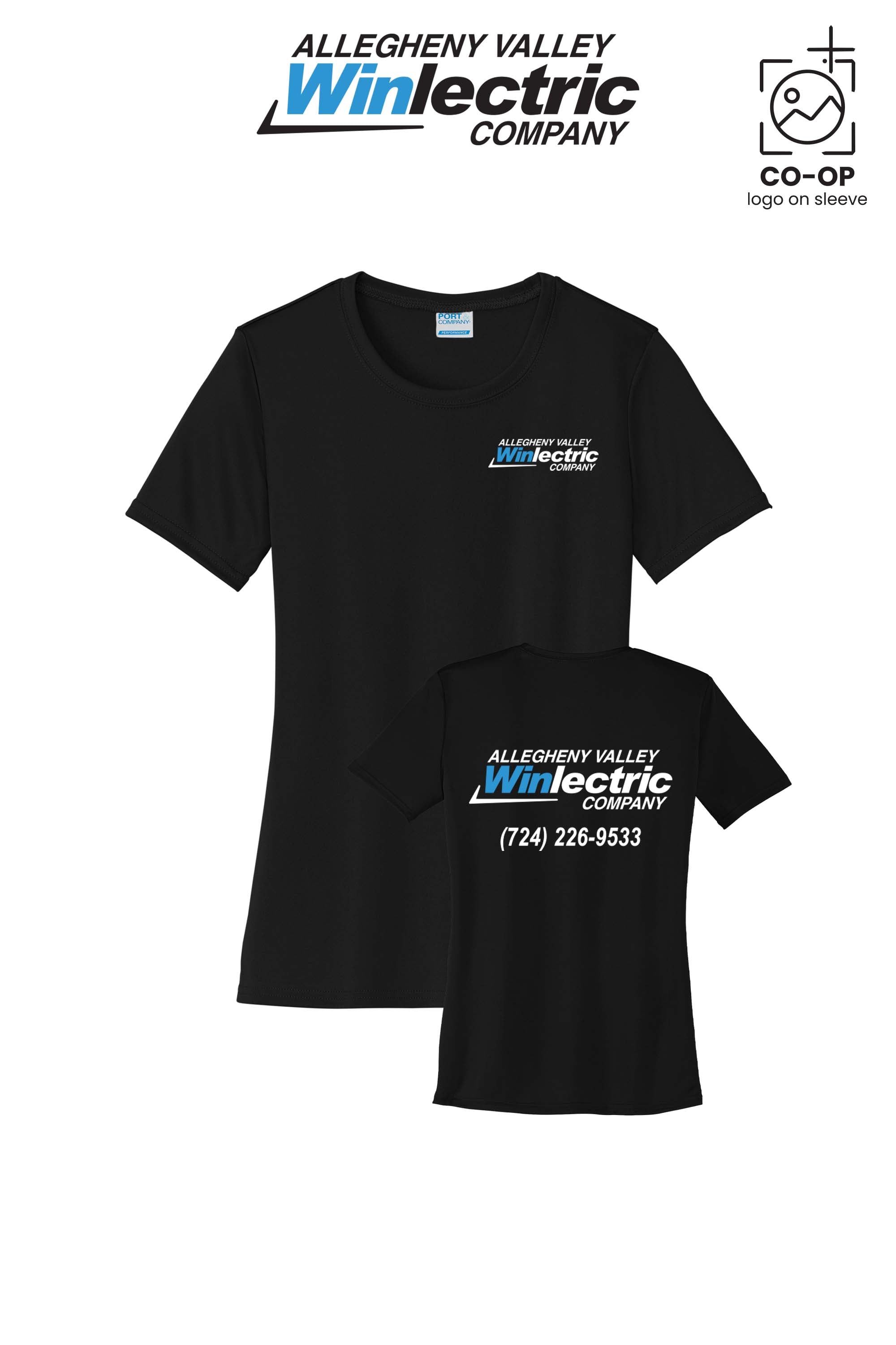 Allegheny Valley Winlectric