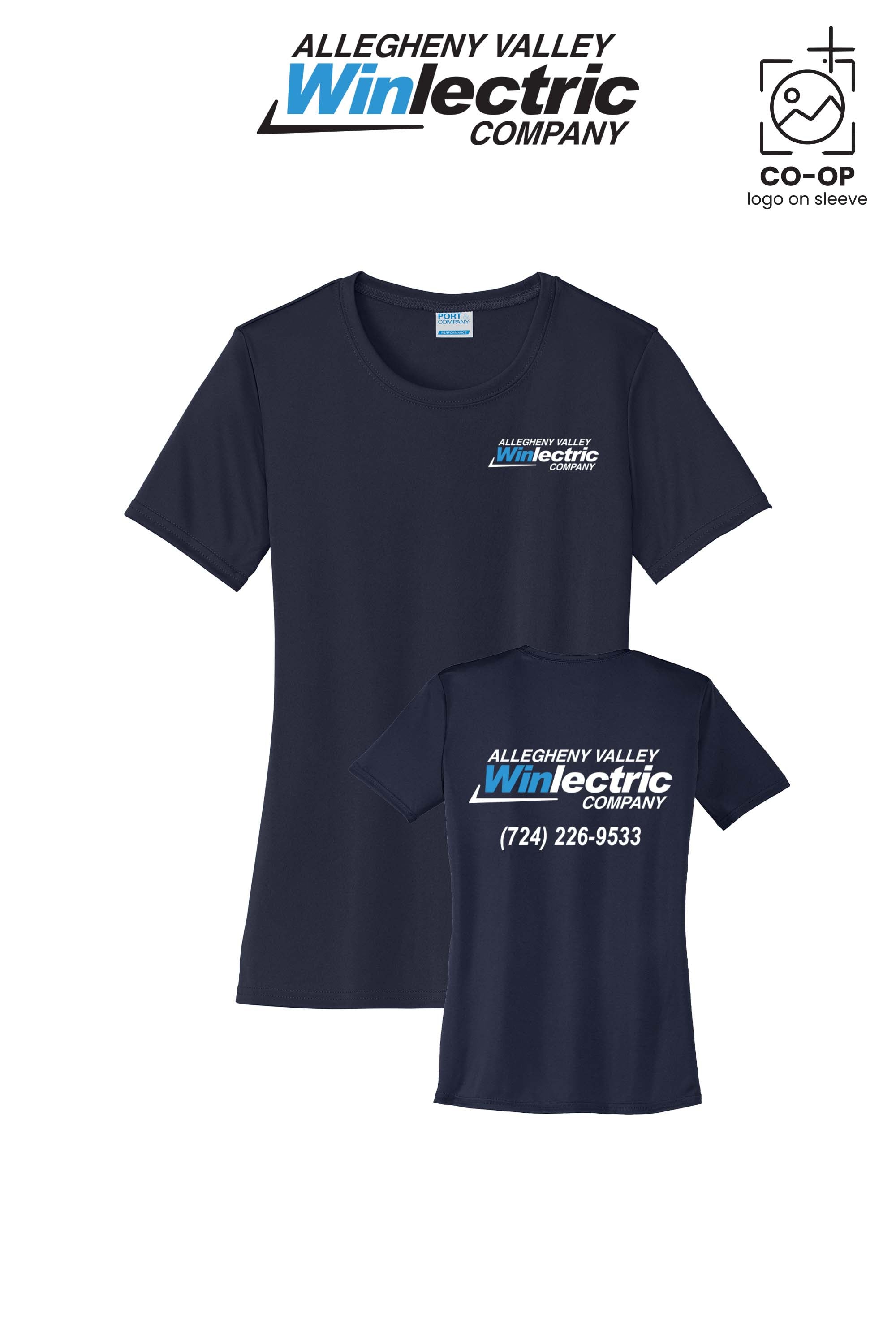 Allegheny Valley Winlectric