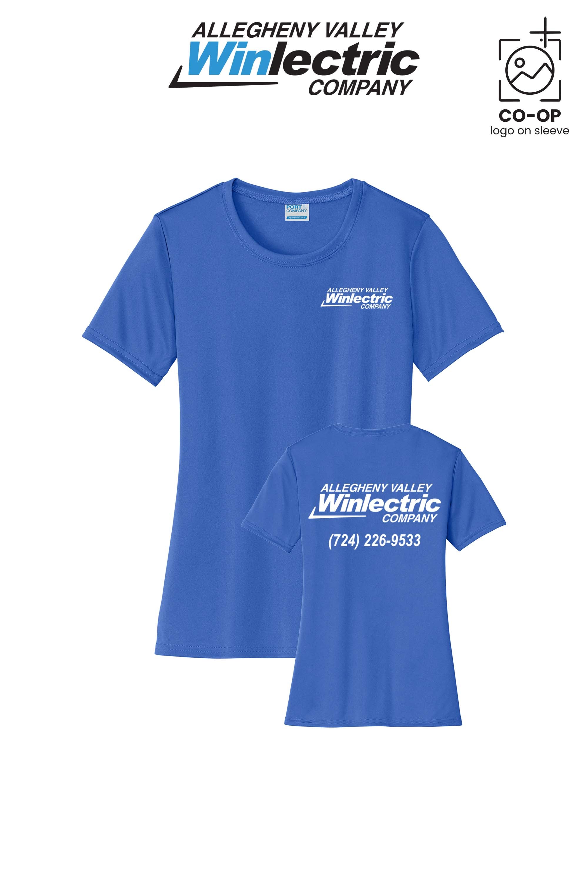 Allegheny Valley Winlectric