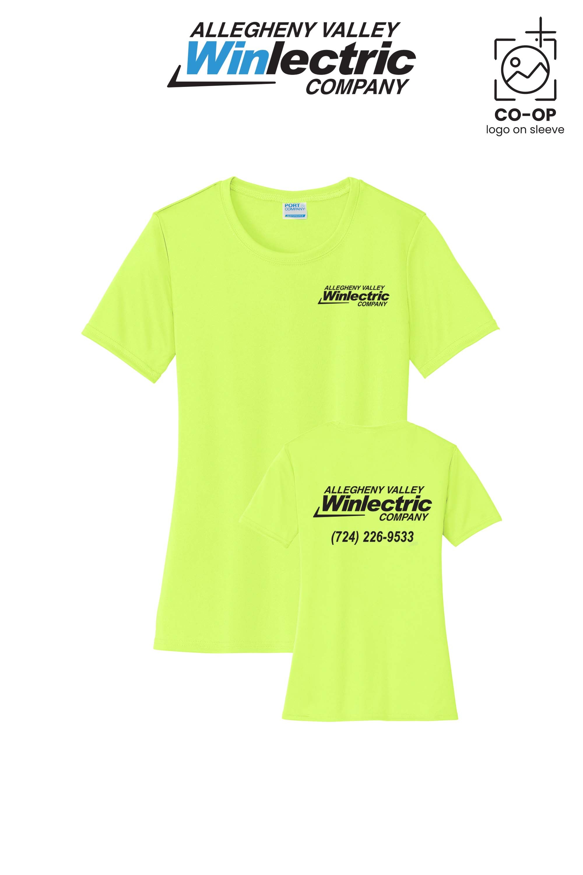 Allegheny Valley Winlectric