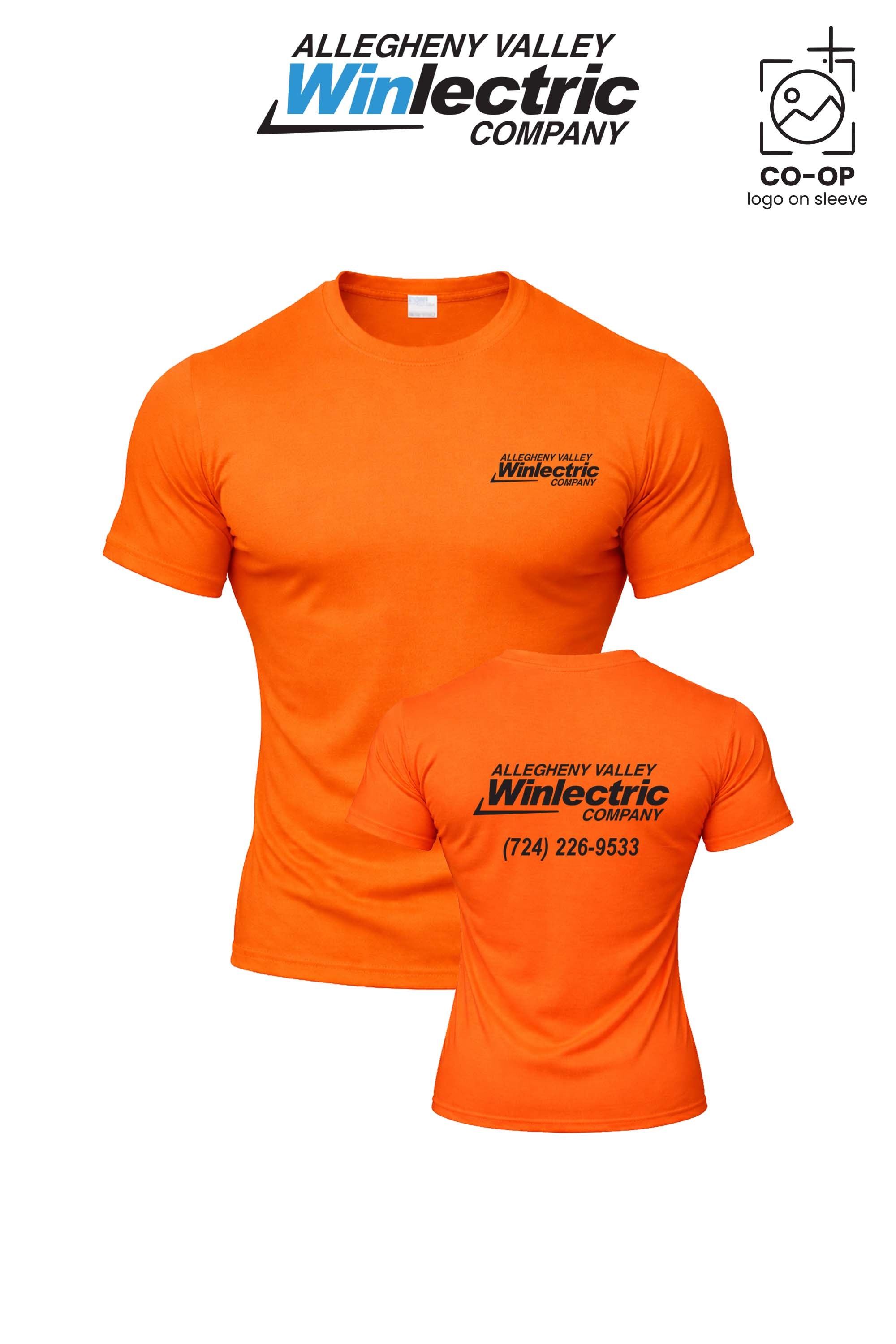 Allegheny Valley Winlectric