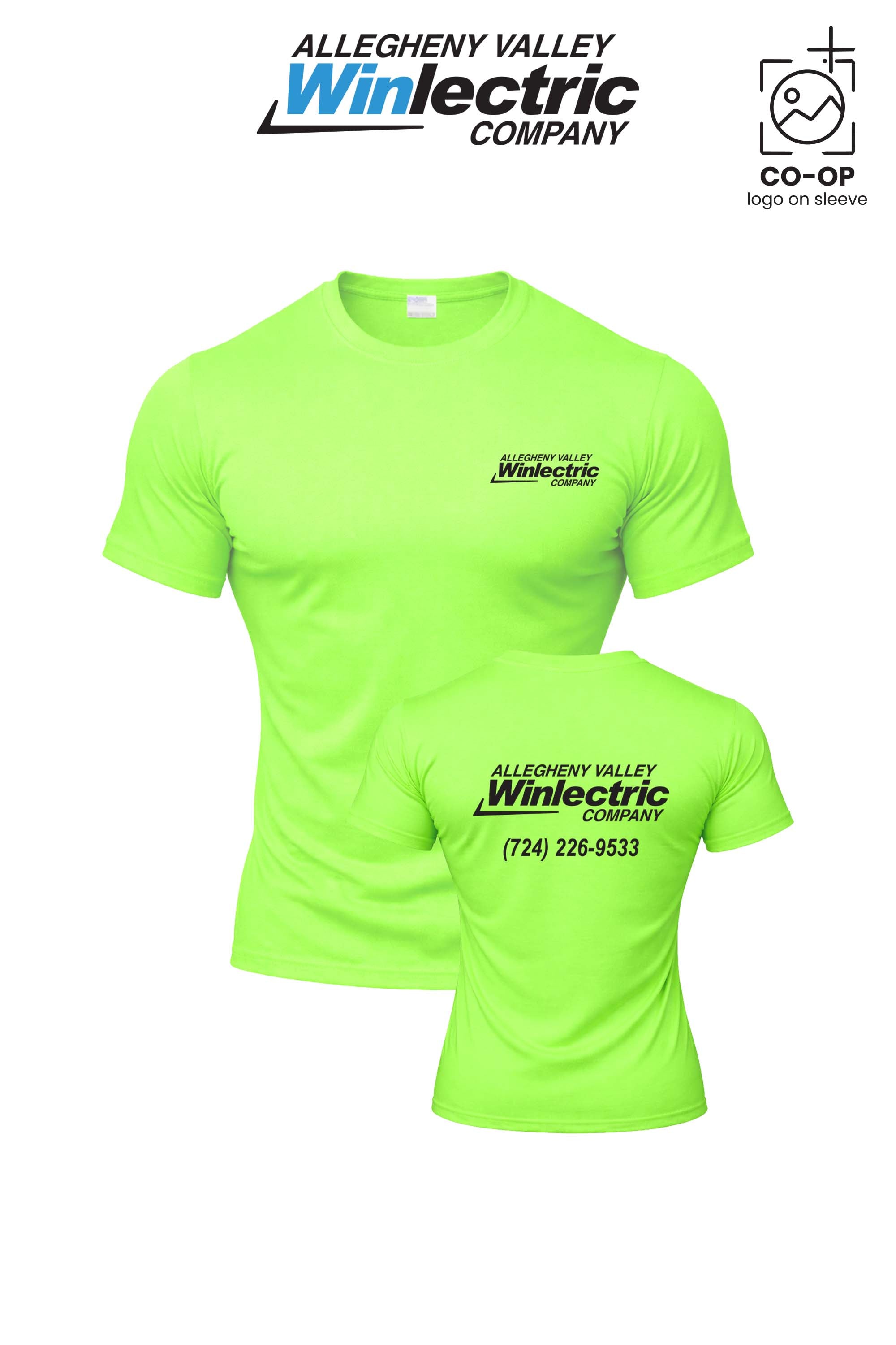 Allegheny Valley Winlectric